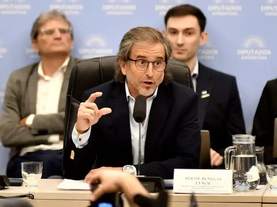 Alberto Benegas Lynch, titular de la Comisión de Presupuesto.