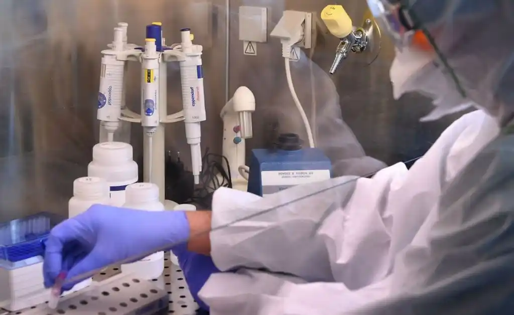 El Instituto Malbrán aclaró que “no existe una cepa Buenos Aires” de coronavirus