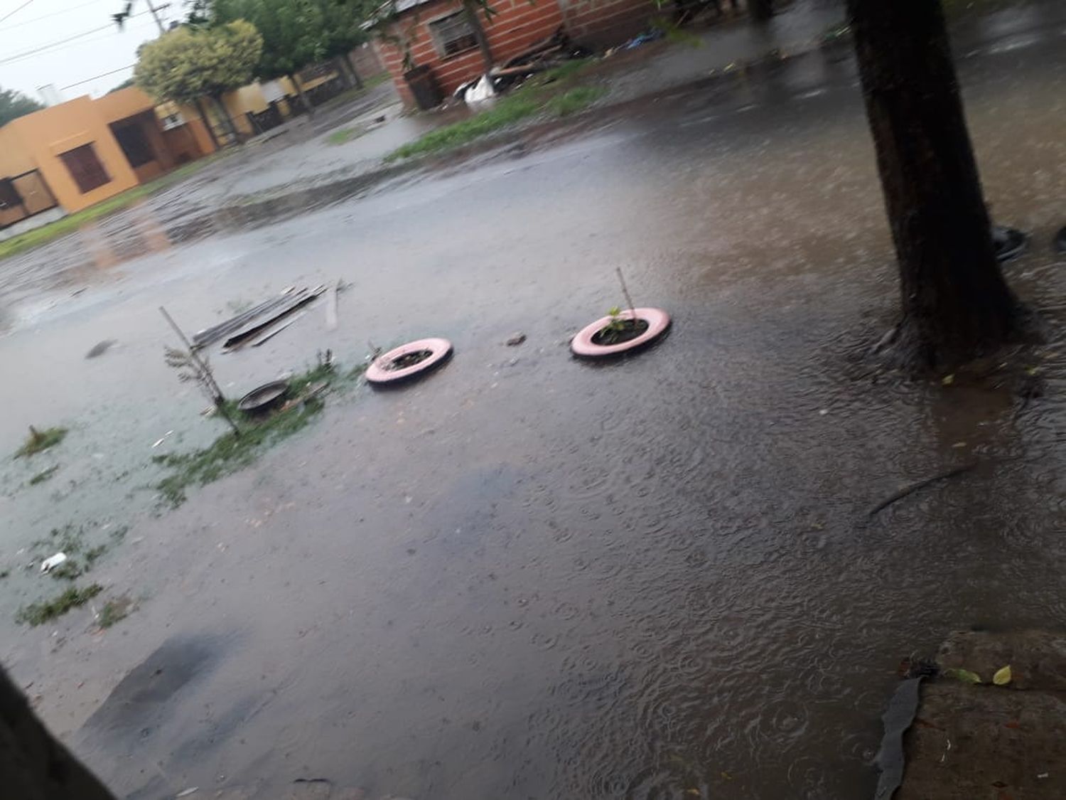 Temporal de lluvia: 23 familias asistidas y dos evacuadas en el CIC