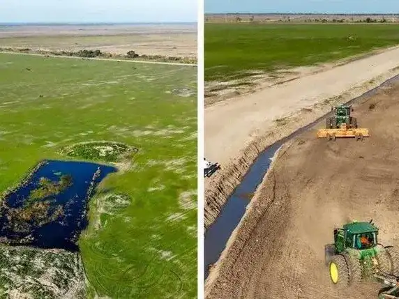 La producción de arroz en Formosa atraviesa un
fuerte crecimiento de la mano de la inversión privada
