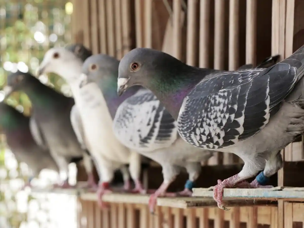 La Familia se quedó con la cuarta fecha