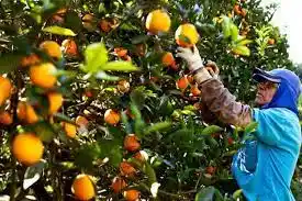 Un programa de desarrollo integral para nuestra provincia