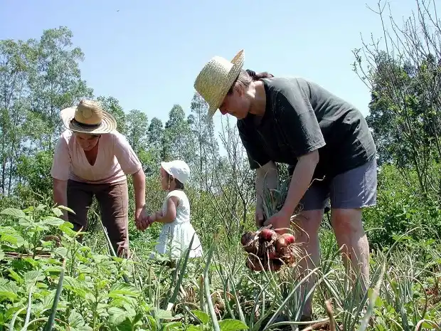 Presentarán hoy los programas de desarrollo rural y agricultura familiar