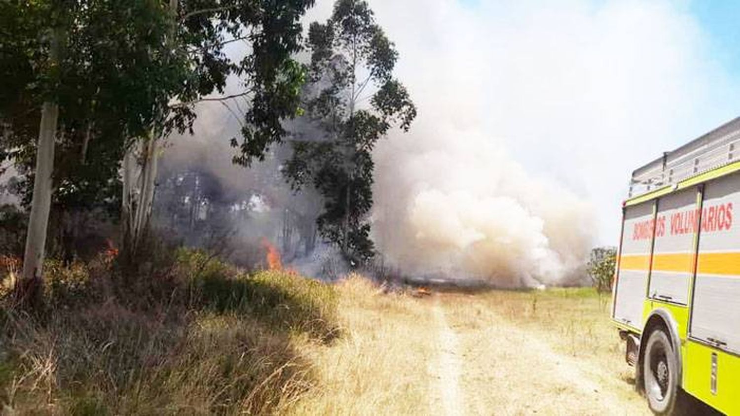 Tras varias horas de trabajo, fueron controlados dos incendios forestales