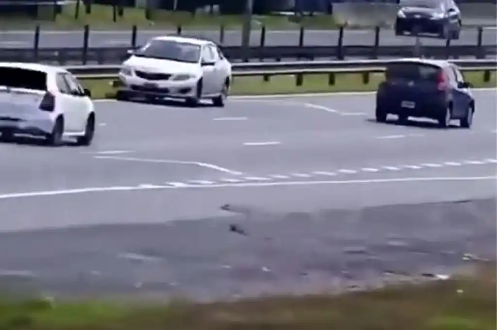 Una mujer manejó a contramano en la Panamericana