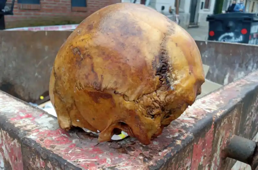 Estremecedor: hallaron restos óseos en un contenedor