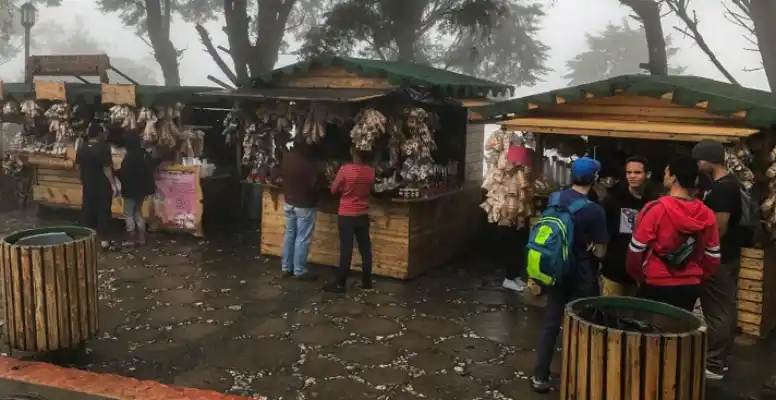 Para un PASEÍTO por El Ávila en teleférico se necesitan al menos 25 DÓLARES por persona