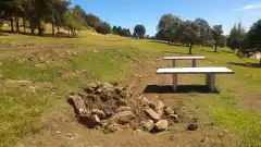 Por más Naturaleza en Tandil: "La Defensora del Pueblo fracasó"