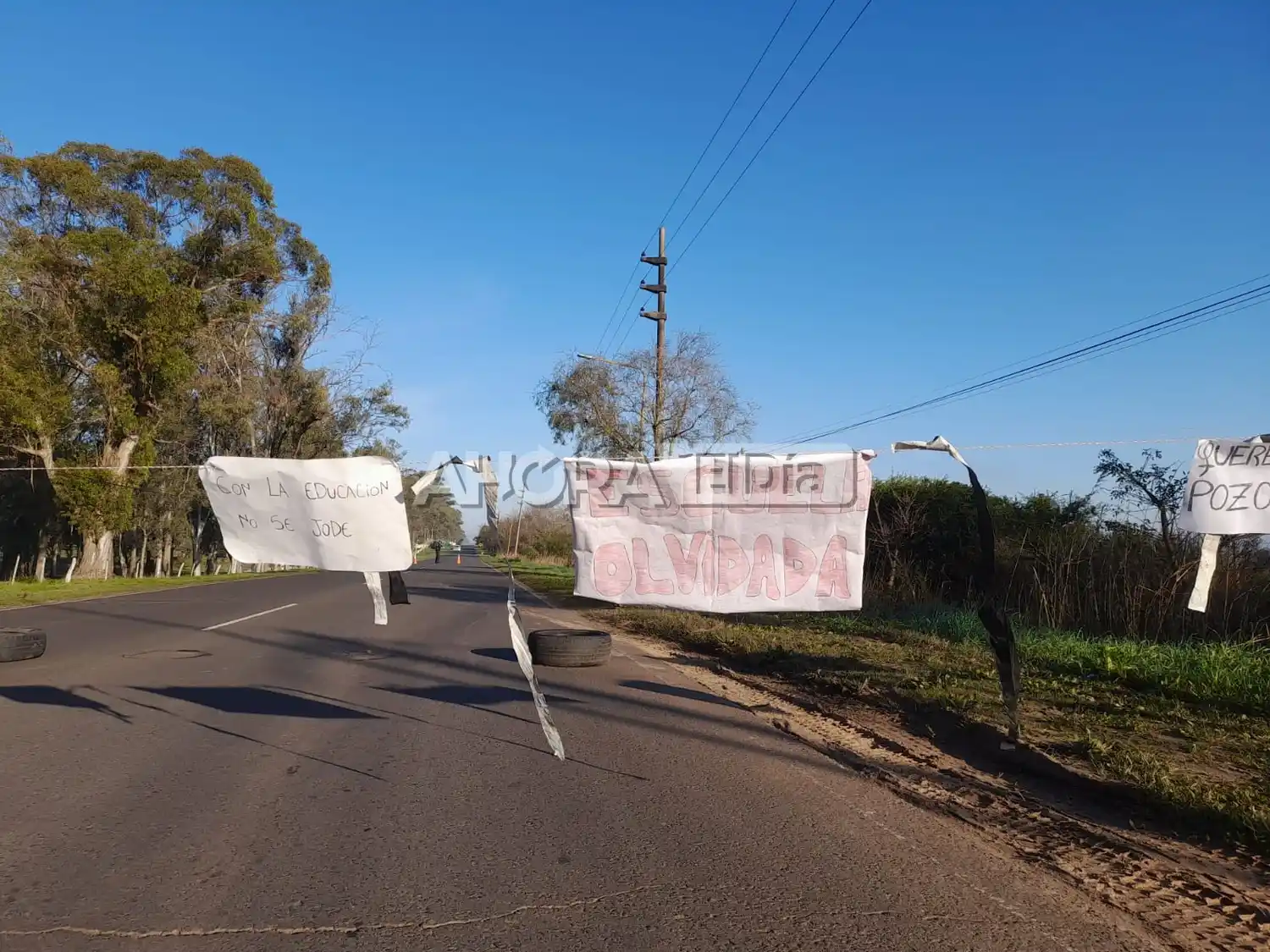 escuela horticultura - 3