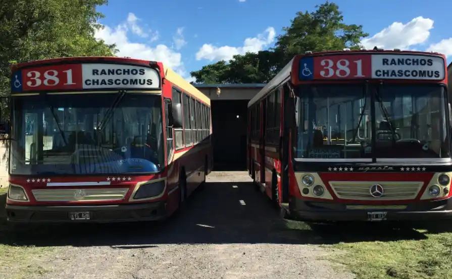 Vuelve el servicio de la Línea 381 entre Ranchos y Chascomús