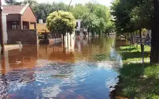 Salto: Bajó el río y desinfectan zonas afectadas pero aun hay evacuados