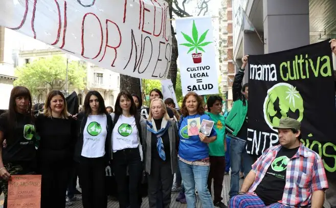 Cannabis Medicinal: Preocupa la falta de reglamentación de la Ley