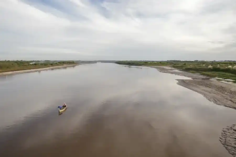 La altísima contaminación en el Río Salado se volvió una amenaza para la fauna