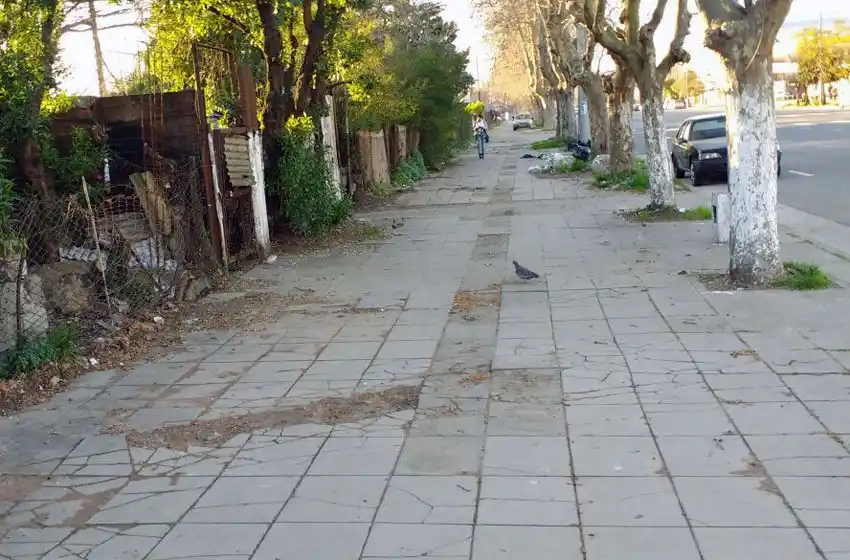 Plaza Rocha: vecinos de la Ferroautomotora denuncian falta de obras