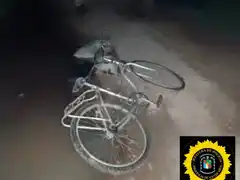 Recuperan tres lechones robados: el ladrón está detenido