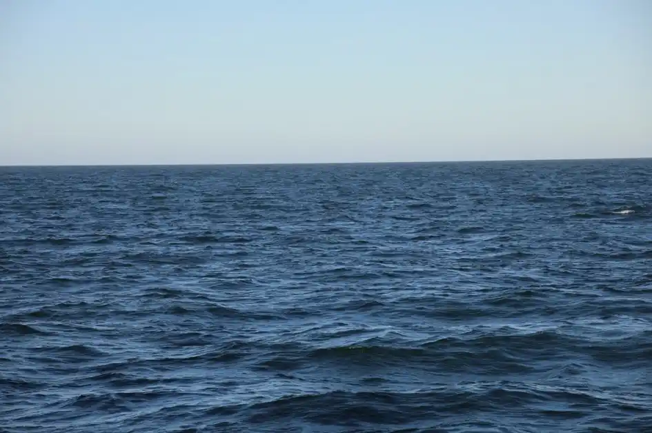 Los datos fueron obtenidos con un termómetro SBE38 instalado en la Estación de Observaciones Costeras.