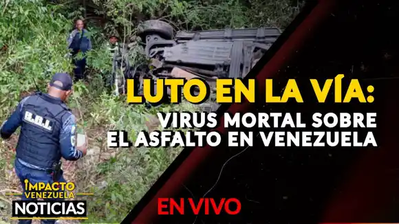 LUTO EN LA VÍA: virus mortal sobre el asfalto en Venezuela – VIDEO