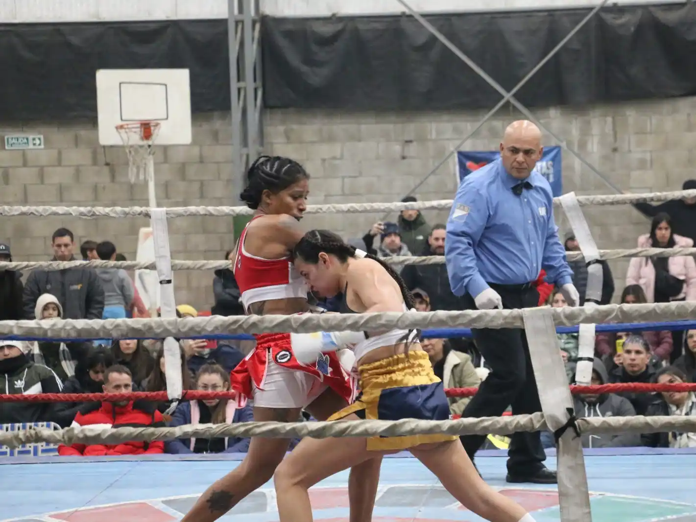 Boxeo