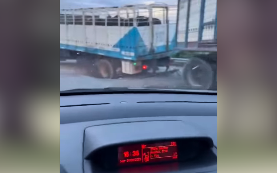 Captura de video