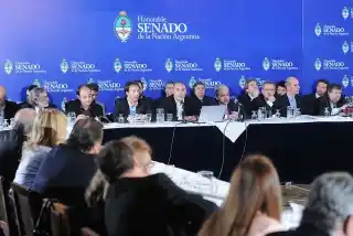 El Gobierno ratificó en el Senado que no habrá ajustes durante el 2015