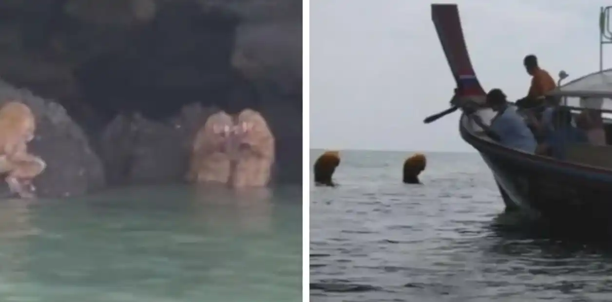 Las extrañas criaturas que aparecieron en una playa de Tailandia realizando un ritual