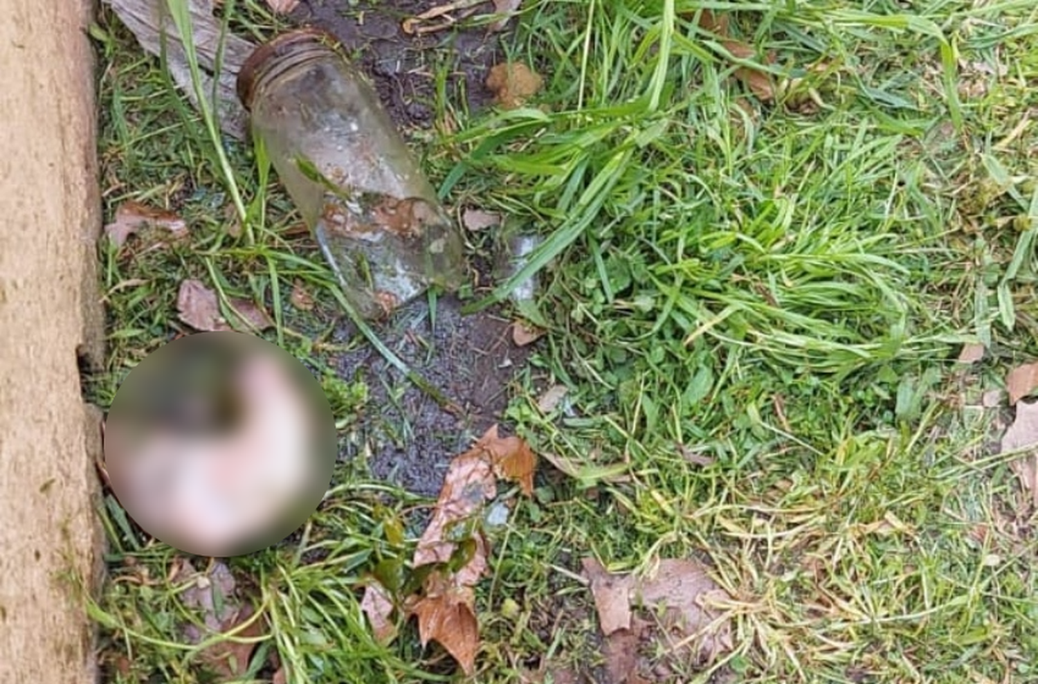 Hallan un pene en Balcarce