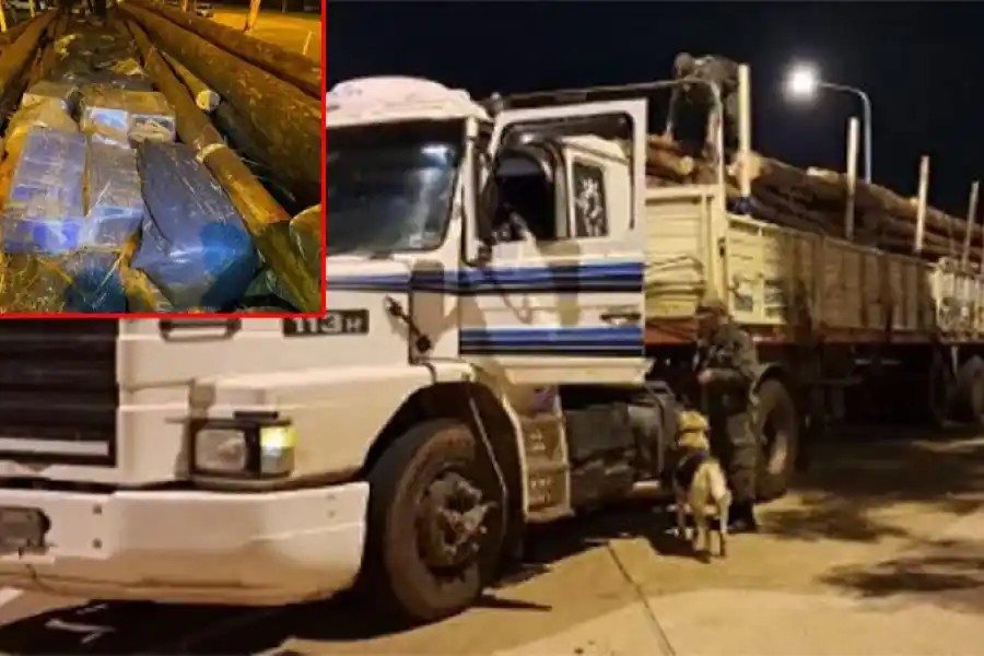 Secuestran más de 1.600 kilos de marihuana ocultos entre postes de eucaliptus