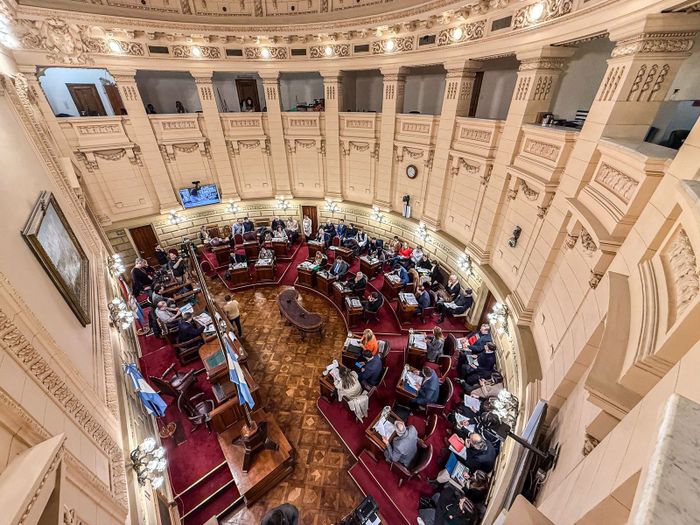 reforma de la constitución