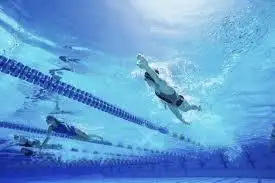 Encuentro de Escuelas de Natación