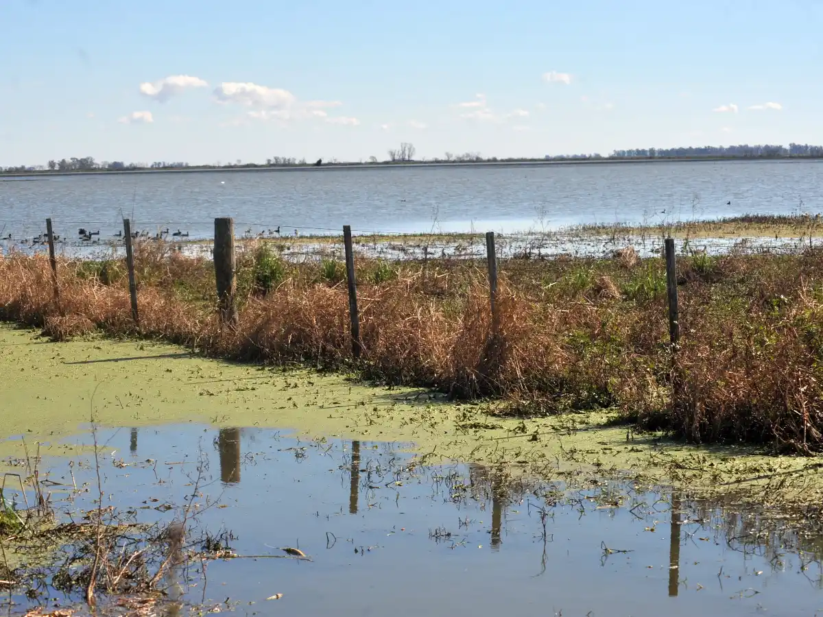 Emergencia: en San Justo  son más de 600 los  productores incluidos  