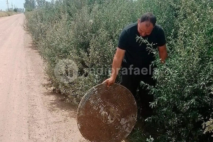¿Para qué?: robaron una tapa de cloacas y la escondieron entre pastizales