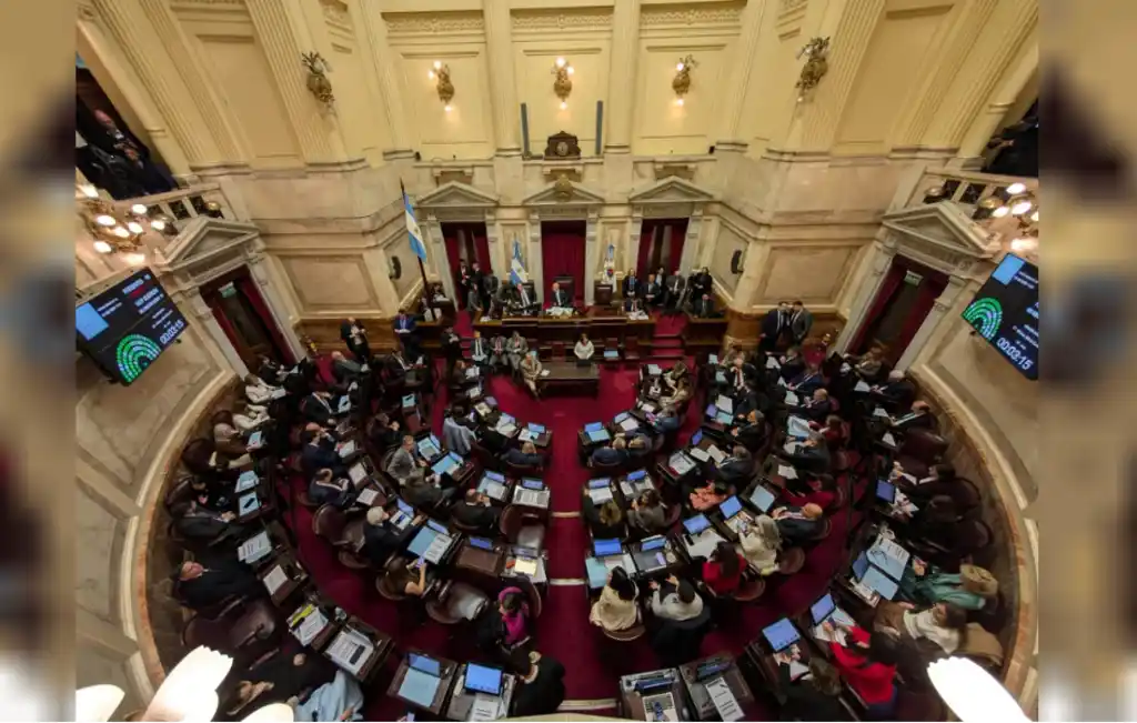 El Senado durante el debate del veto de la emergencia en Discapacidad.