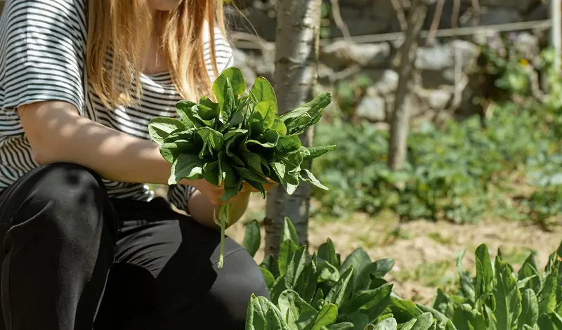 Charla de alimentación saludable en Ituzaingó