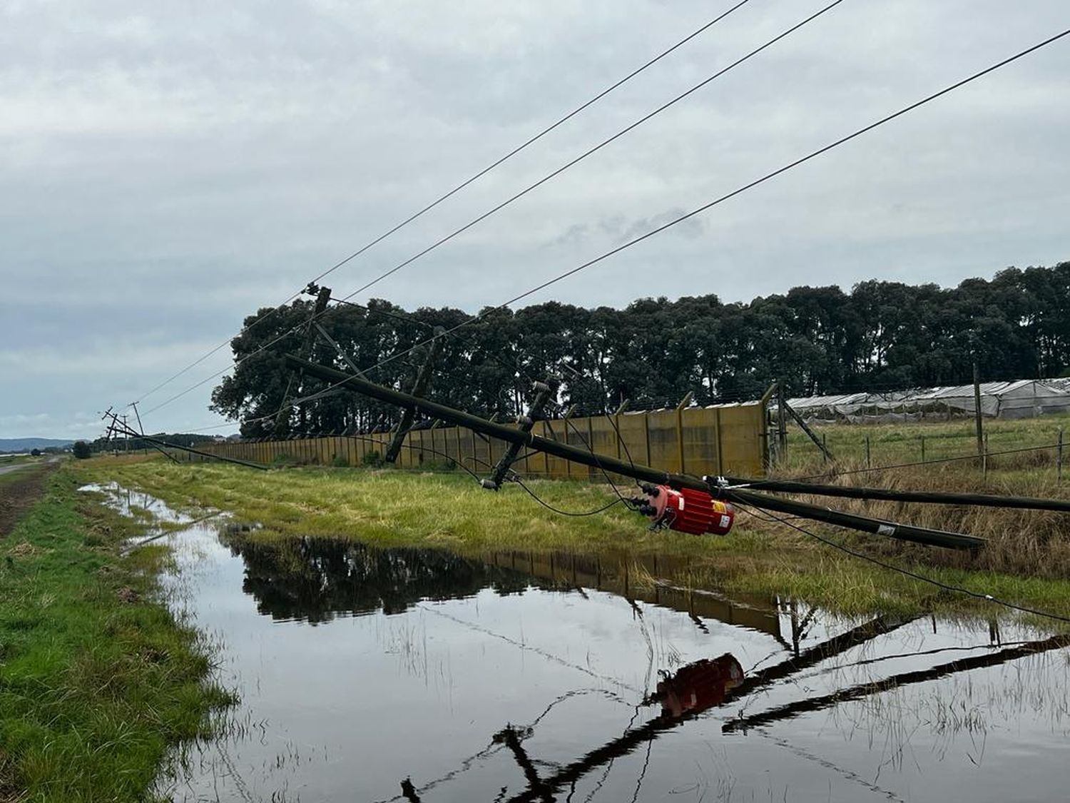 La tormenta provocó calles anegadas, postes de luz caídos y la intervención de Defensa Civil en 9 domicilios