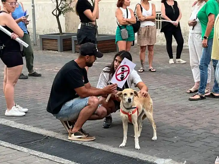 Un gran cantidad de vecinos se juntaron par evitar que arrojen fuegos artificiales sonoros en fin de año.