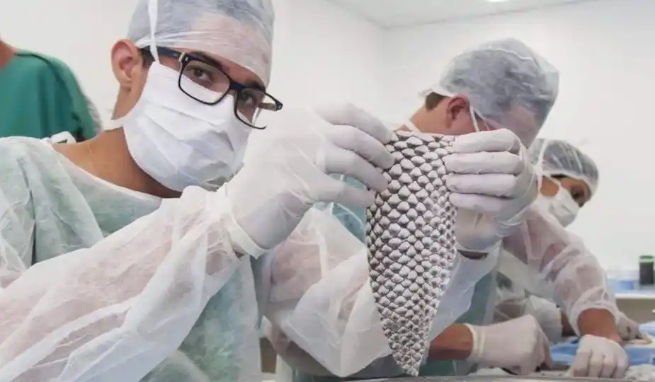 Brasil: recibió un implante de vagina hecho con piel de pescado