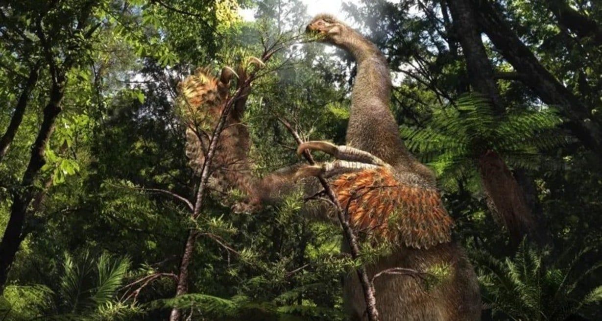 Único en su especie: hallaron un dinosaurio desconocido con dos enormes garras similares a las uñas humanas