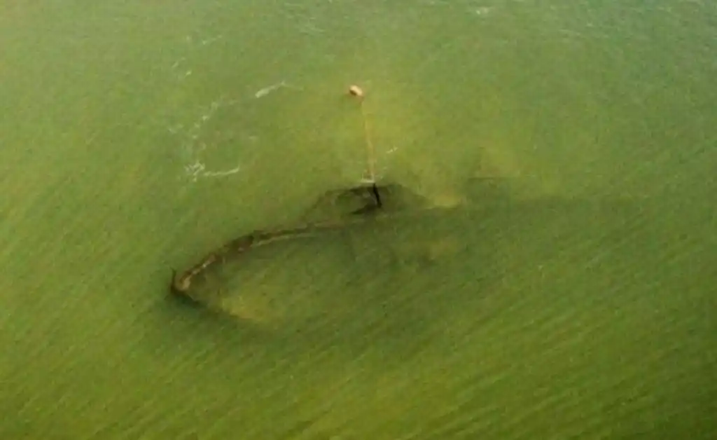 Por la bajante encontraron un barco que se hundido hace más de un siglo