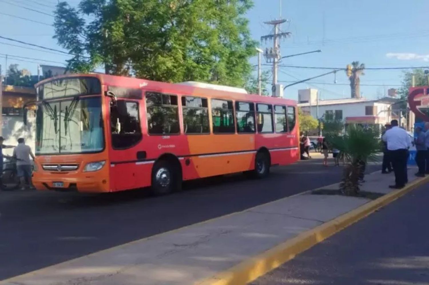Mendoza: un colectivero frenó de manera brusca y una mujer de 85 años murió tras caer al asfalto
