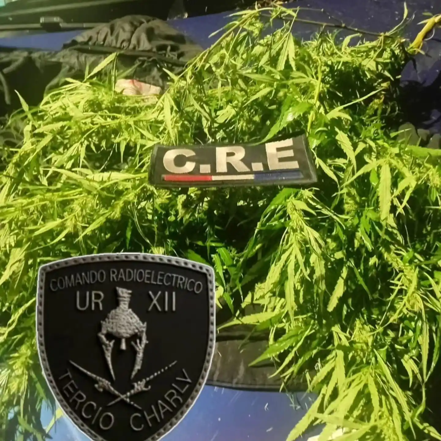 Aprehendieron a un hombre en Tostado por tenencia de estupefacientes - 2