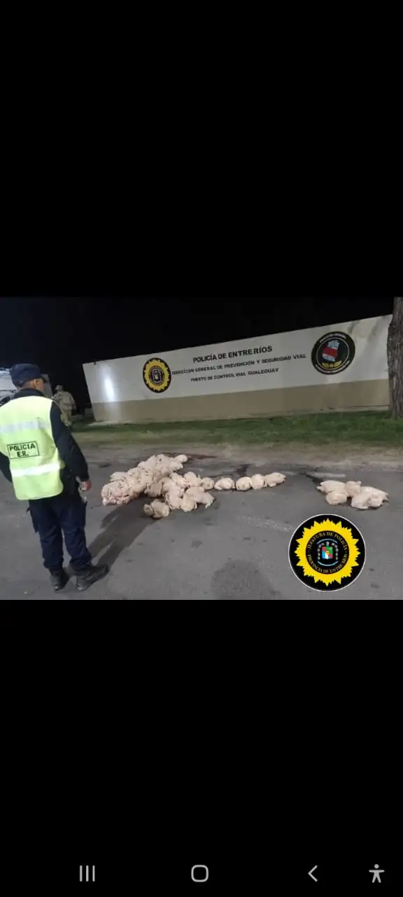 Policía intercepta Hilux con carga ilegal de pollos en Gualeguay