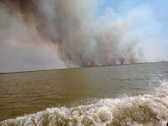 Incendios en islas: más de 2300 focos en los últimos siete días