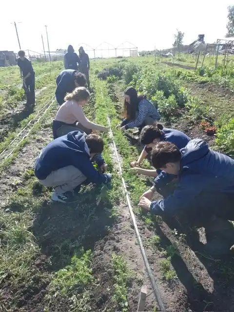 Estudiantes del Instituto Fahy trabajan en la huerta escolar: sembrar, cuidar y cosechar, parte esencial de una educación con raíces.
