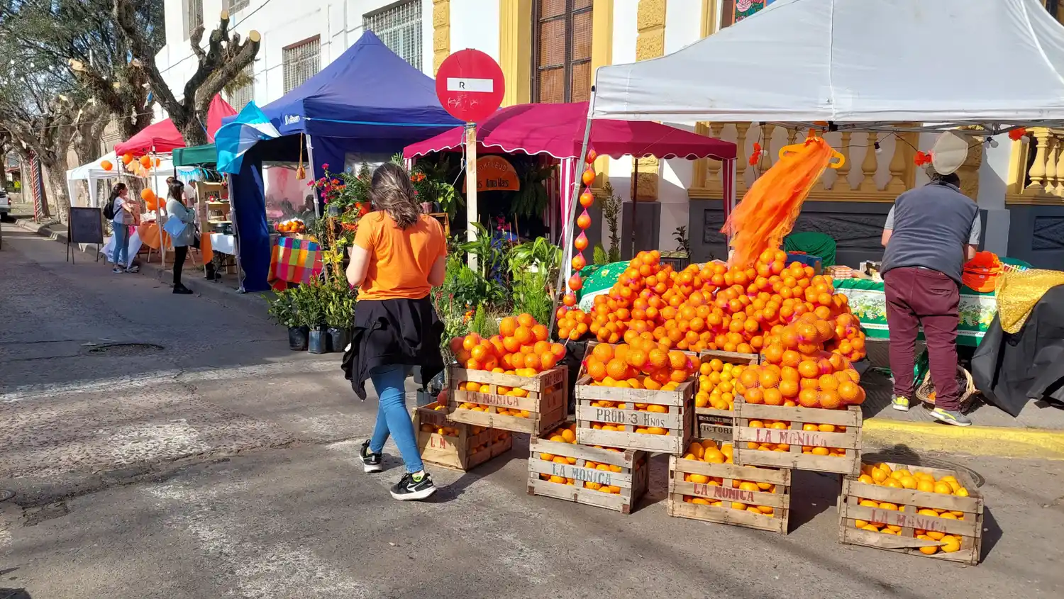 Los stands se ubicaran desde Palacio hacia plaza Constitución, como el año pasado.