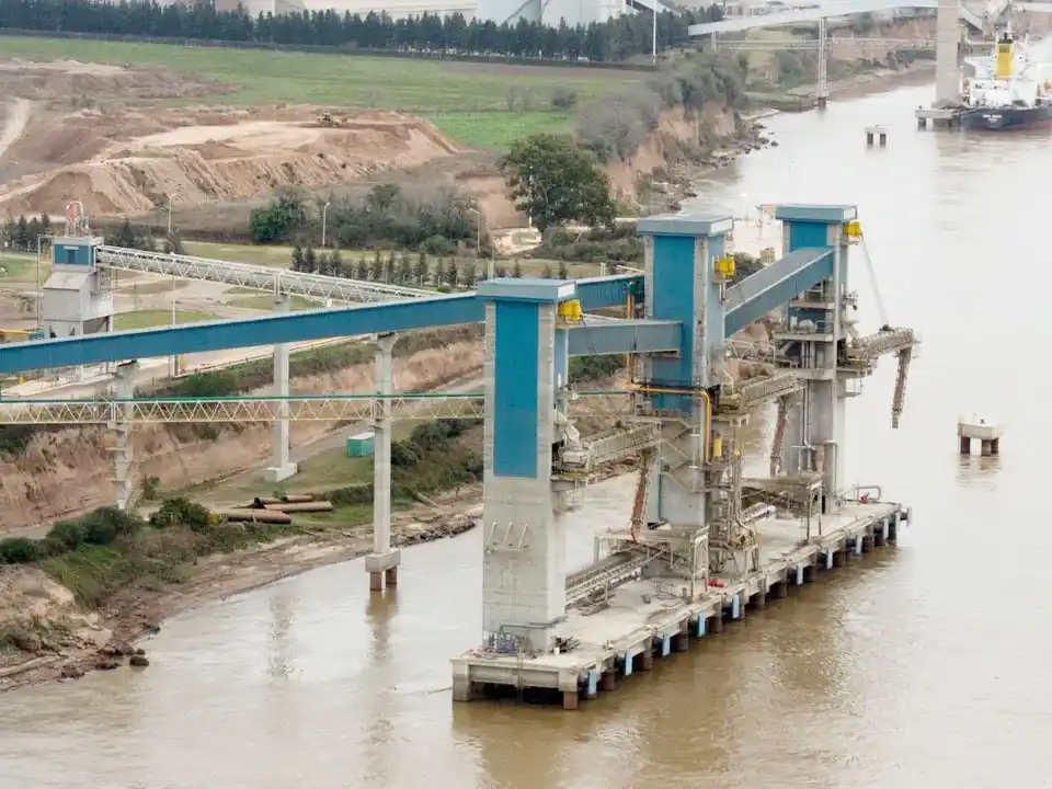 El Consejo Agroindustrial reveló cuánto subirán las exportaciones por la baja de retenciones