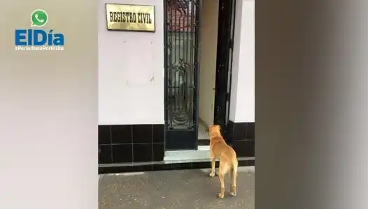 Reclaman una rampa de acceso en el nuevo Registro Civil