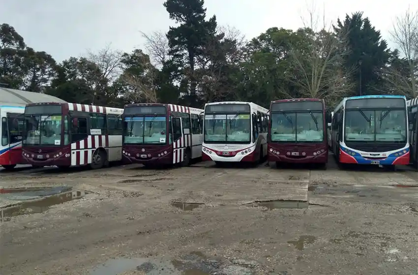 Presentan un recurso de amparo para que se brinde el servicio nocturno de colectivos