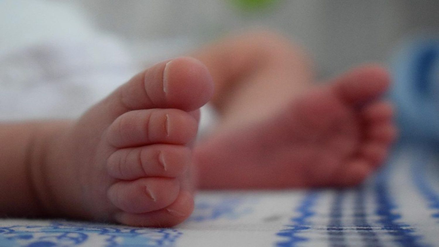 TENÍA 7 MESES DE GESTACIÓN: detenida una mujer por abortar e incinerar a su bebé en La Guaira