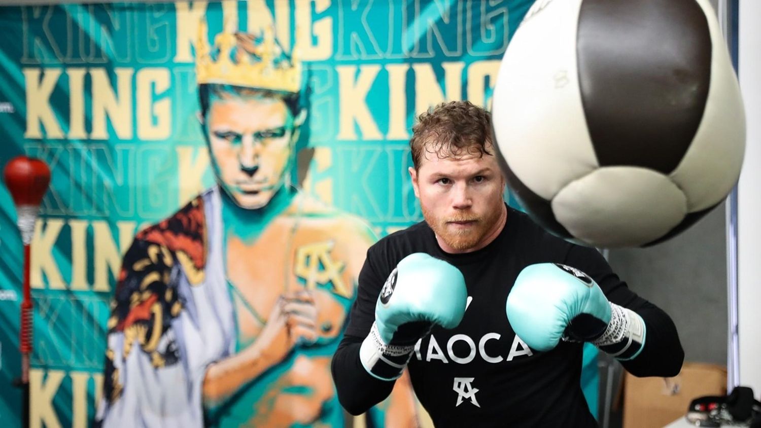 Negocios Canelo Álvarez - Interna 1