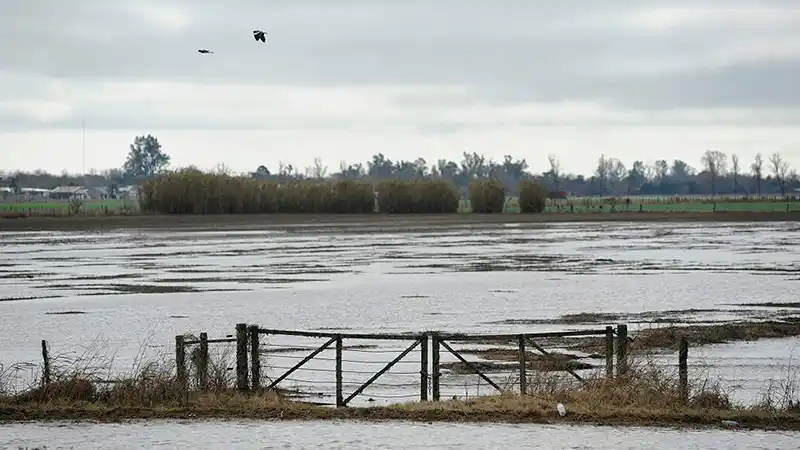 La Nación amplía la emergencia agropecuaria para Entre Ríos 